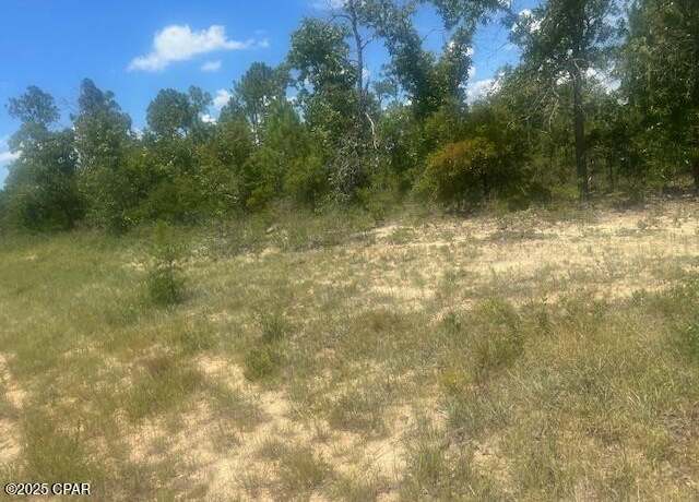Property at TBD Cachet Ct #9, Chipley, FL 32428