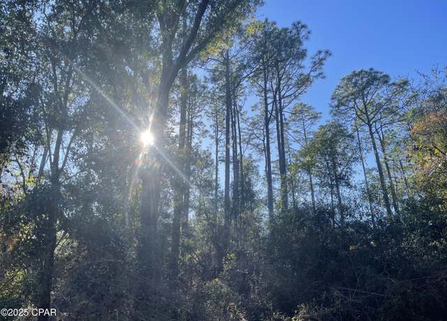 Property at 0000 Hilltop Dr, Caryville, FL 32425