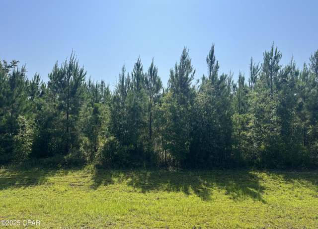 Property at 0 SE Nadine Stone Landing Rd, Kinard, FL 32449