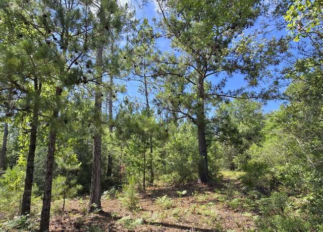 Property at 0 Joy Ave, Marianna, FL 32448