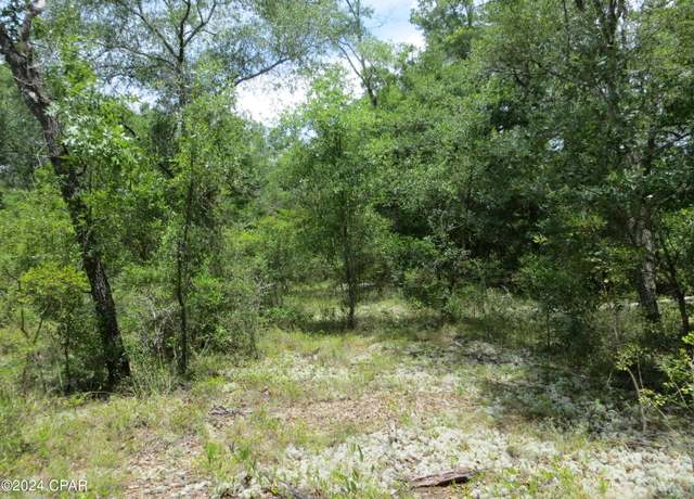 Property at 0000 Moss Hill Rd, Chipley, FL 32428
