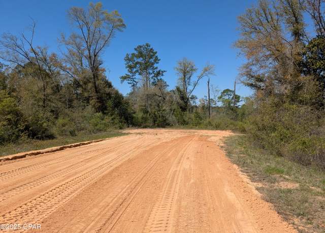 Property at 0 Breese Ct, Alford, FL 32420