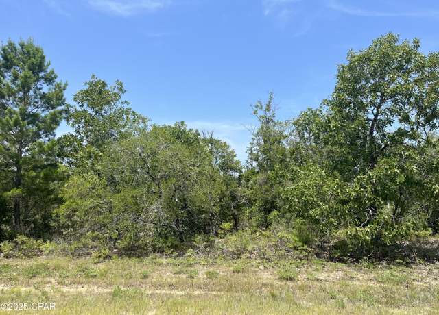 Property at 0 Sylvia Dr, Chipley, FL 32428