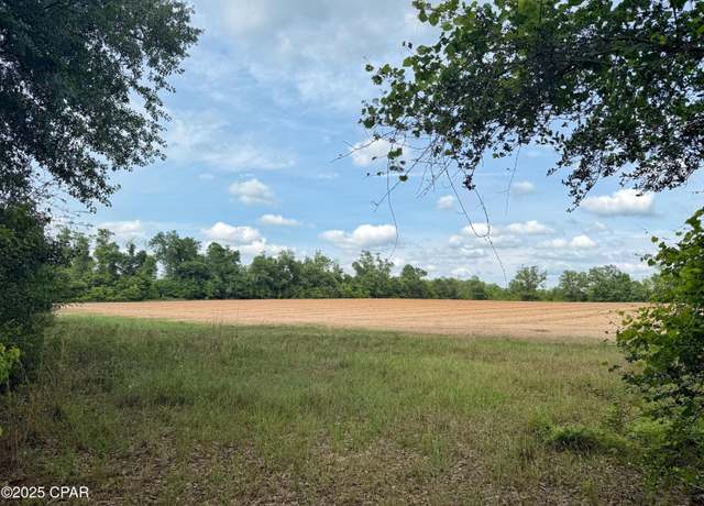 Property at 00 Delta Ln, Marianna, FL 32448