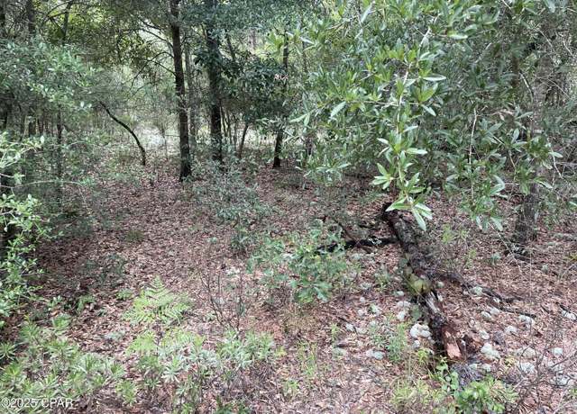 Property at Lot 37 Girard Ct, Alford, FL 32420
