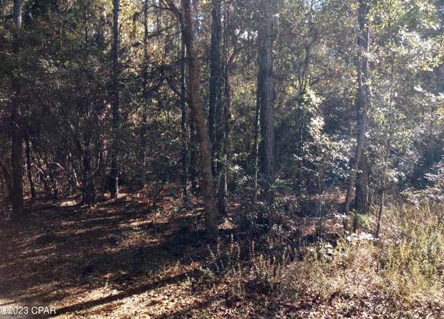 Property at 000 Little John Ln, Bonifay, FL 32425