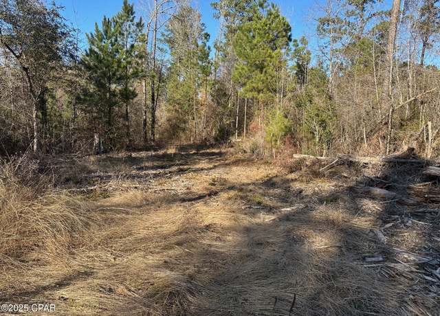 Property at 3241 Highway 90, Marianna, FL 32446