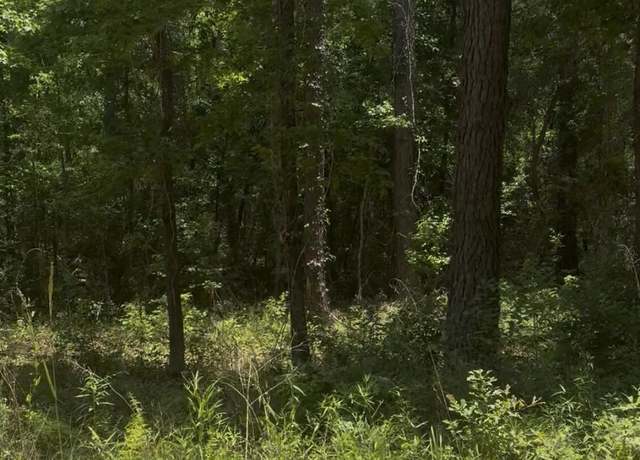 Property at XXX Ben Rd #32428, Chipley, FL 32428