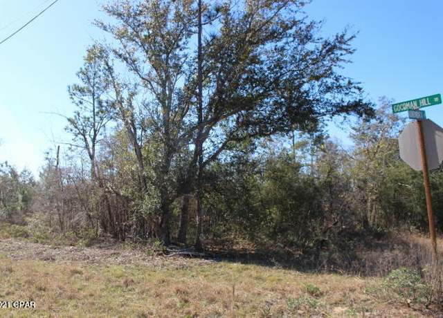 Property at 0 Goodman Hill Rd Lot 45, Chipley, FL 32428