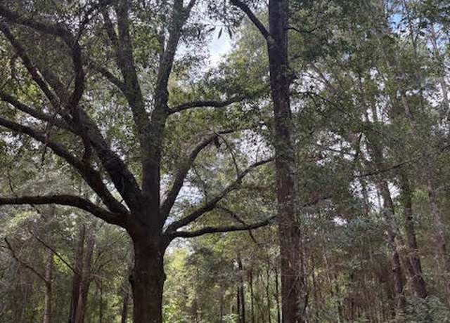 Property at 4600 Pine Grove Church Rd, Quincy, FL 32351