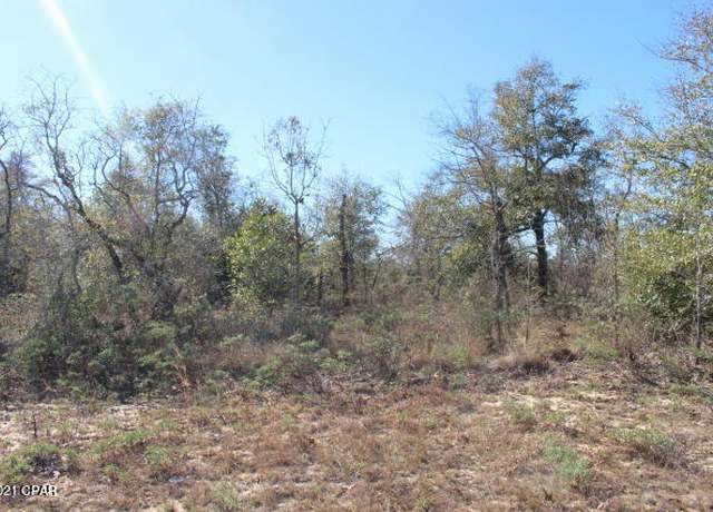 Property at 0 Dumont Ave Lot 6, Chipley, FL 32428