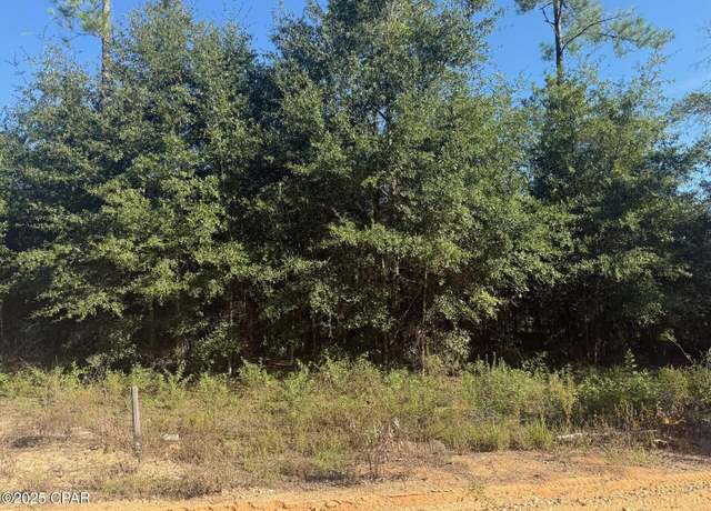 Property at XXX Finch Cir, Chipley, FL 32428