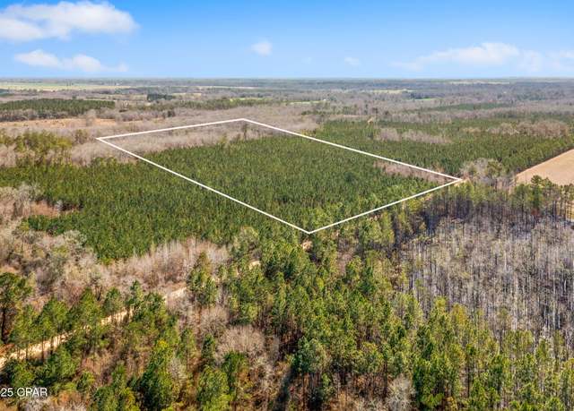 Property at Lot 2 New Prospect Rd, Chipley, FL 32428