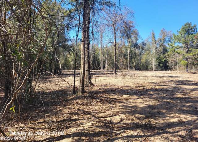 Property at 00 Tommy Tucker Rd Lot 2, Altha, FL 32421