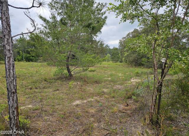 Property at 00 Sand Pond Rd, Chipley, FL 32428