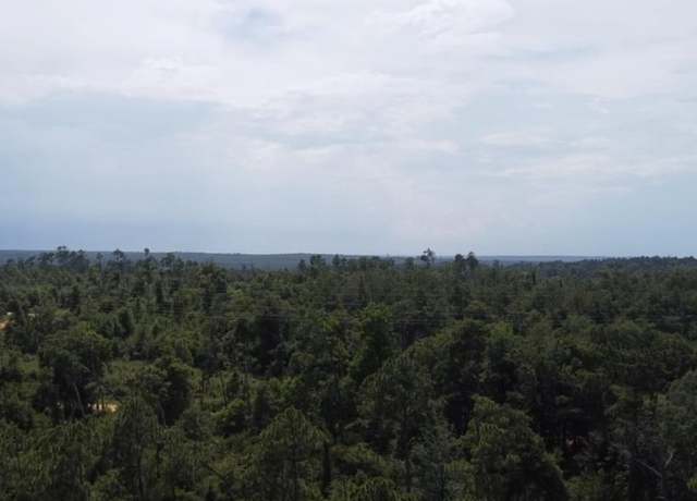 Property at 0 Edison Ave, Alford, FL 32420