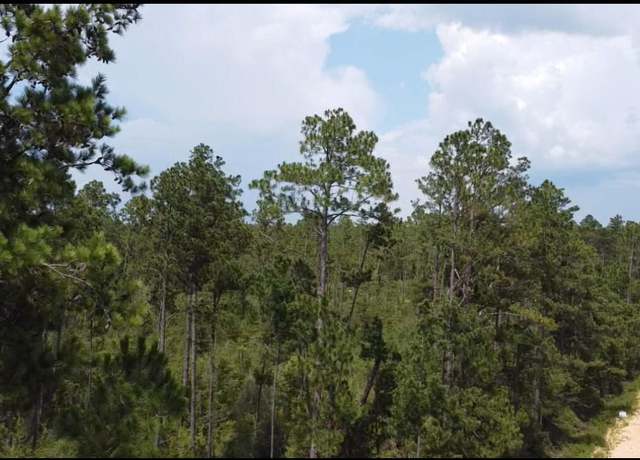 Property at 0 Black Hills St, Alford, FL 32420