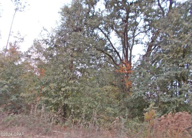 Property at 00 Green Rd, Greenwood, FL 32443