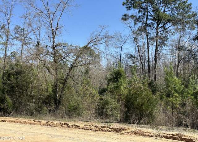 Property at Tract 6411 White Road Open Creek Rd, Chipley, FL 32428