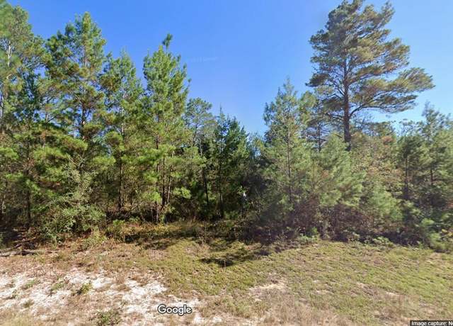 Property at Lot 15 Luar Ave Unit 1, Blk 86, Chipley, FL 32428