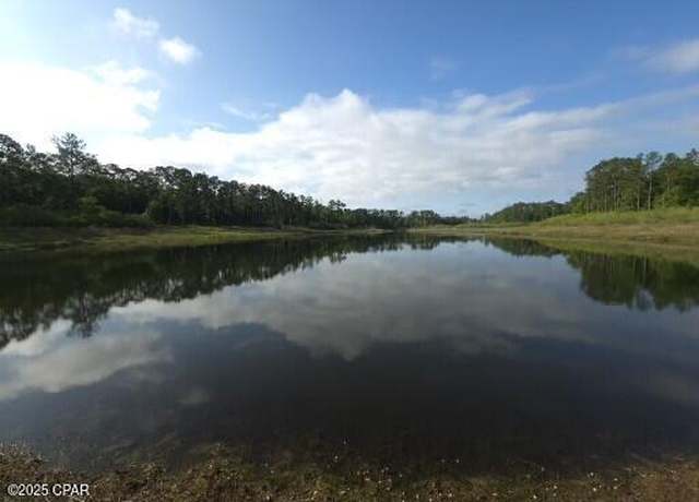 Property at 00 Payne Lake Road Rd, Chipley, FL 32428