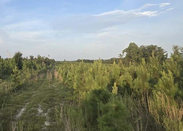 Property at 0 Bartlett Rd, Marianna, FL 32448