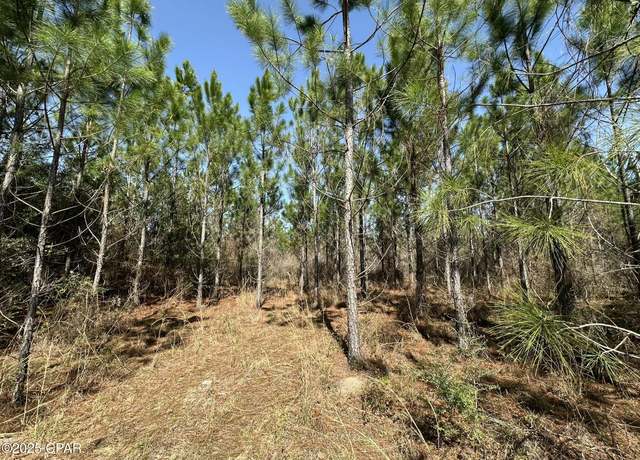 Property at Tract#6416 Douglas Ferry North, Caryville, FL 32427