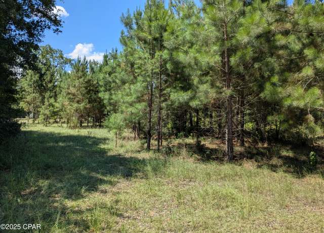 Property at 0 Carters Mill Rd, Marianna, FL 32446