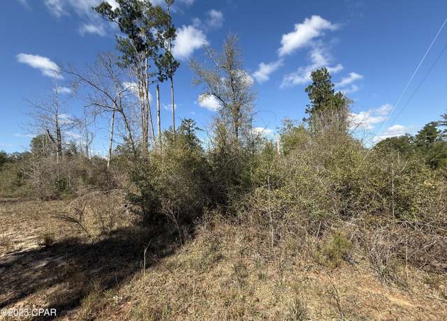 Property at 00 Tanager Ct, Marianna, FL 32448