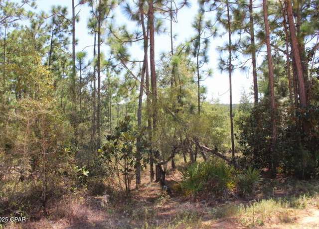Property at 0 Sycamore St, Alford, FL 32420
