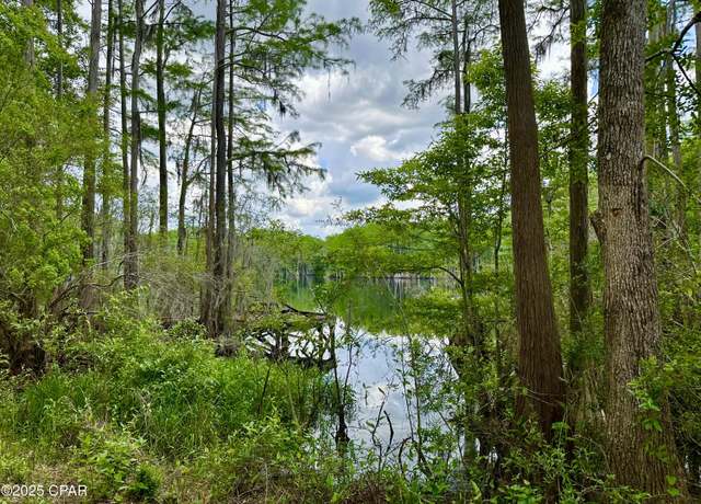 Property at 4661 Moss Hill Rd, Chipley, FL 32428