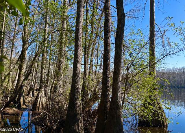 Property at 4661 Moss Hill Rd, Chipley, FL 32428