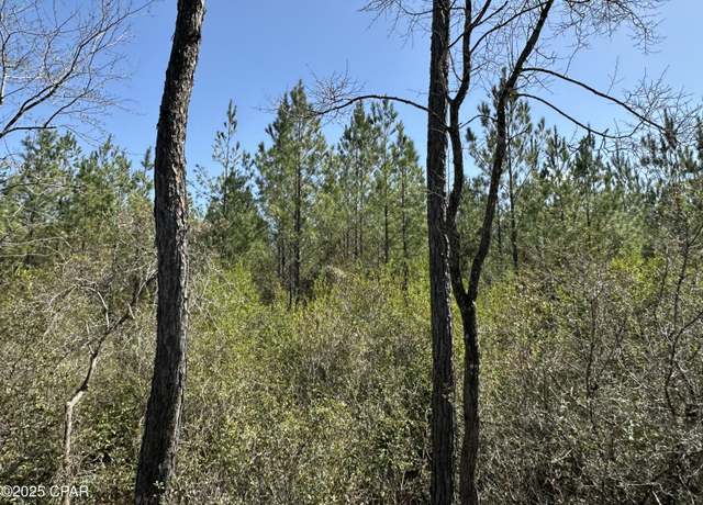 Property at Tract#6417 North Brock Rd, Caryville, FL 32427