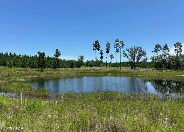 Property at 000 NW Camp Head Rd, Altha, FL 32421