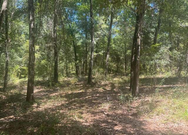 Property at 00 Dove Ct, Chipley, FL 32428