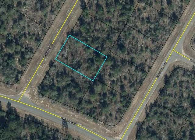 Property at Lot 12 Lynn Haven Ln, Chipley, FL 32428