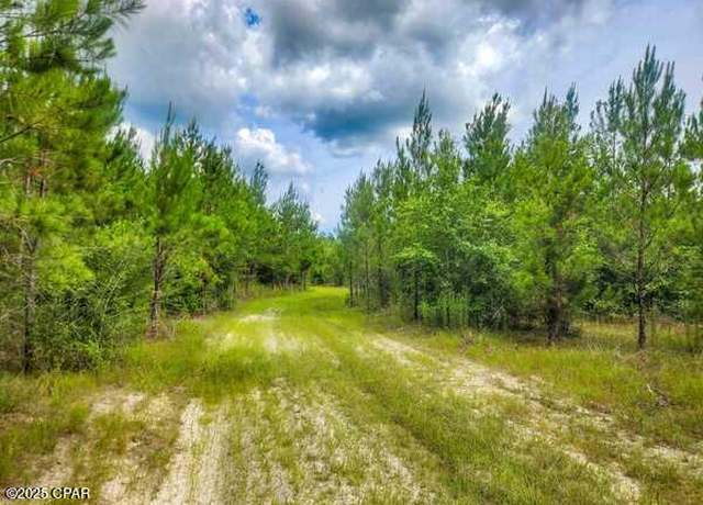 Property at 000 J W Miller Rd, Bonifay, FL 32425
