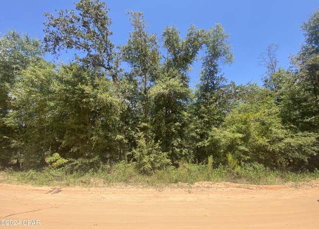 Property at 00 N Silver Lk, Marianna, FL 32448