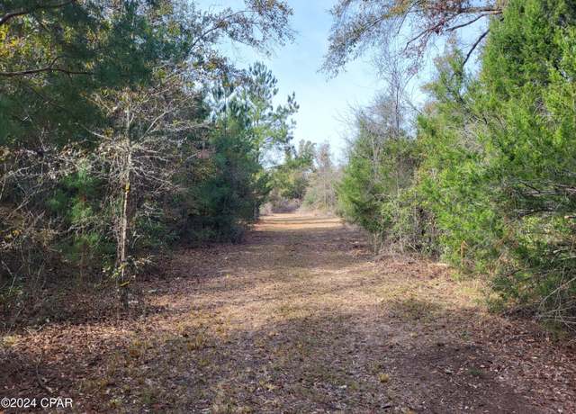 Property at 00 Tommy Tucker Rd Lot 4, Altha, FL 32421