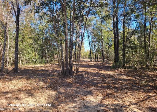Property at 00 Tommy Tucker Rd Lot 3, Altha, FL 32421