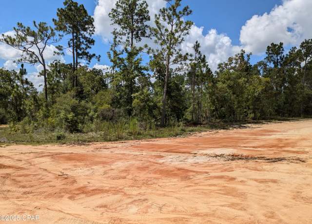 Property at 0 Castle Cr Cir, Alford, FL 32420