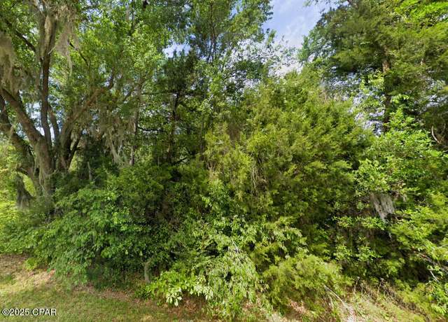 Property at 0 Messer Rd, Sneads, FL 32460