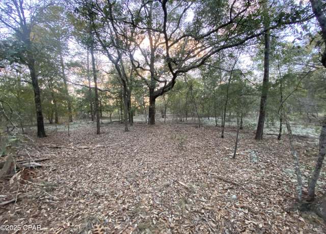 Property at XX Spendabuck Ct, Chipley, FL 32428