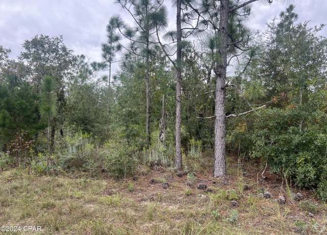 Property at 000 NW Barksdale Ln, Fountain, FL 32438
