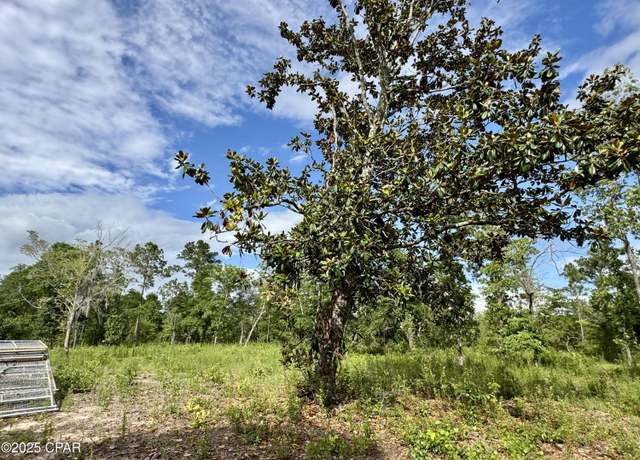 Property at 0 Baker Ave, Alford, FL 32420