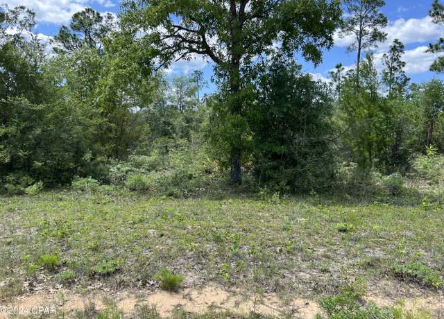 Property at Lot 6 Cleveland Dr, Alford, FL 32420