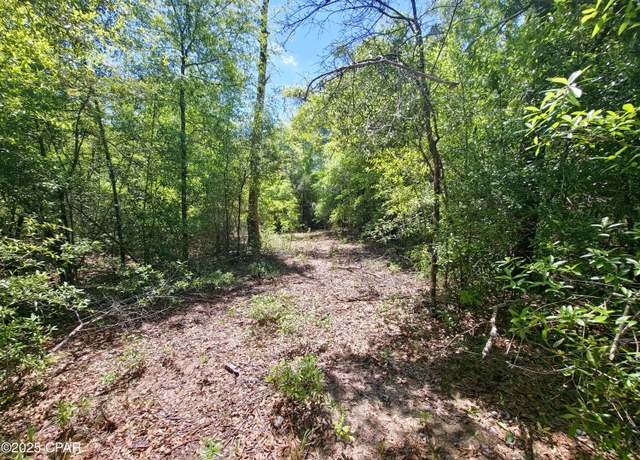 Property at Lot 5 Gardenia, Marianna, FL 32448
