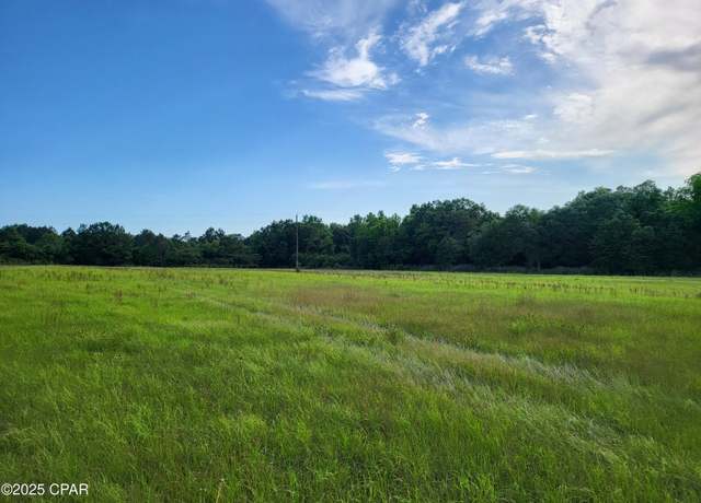 Property at 4597 Fowler Rd, Graceville, FL 32440
