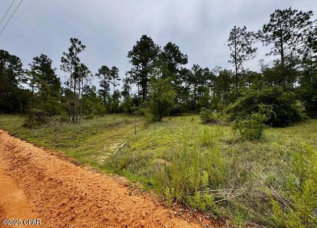 Property at TBD Wild Rose Ln, Chipley, FL 32428