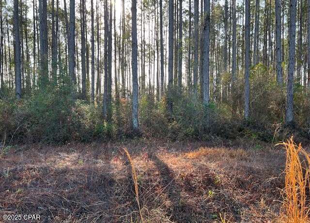 Property at 12 Douglas Landing Rd, Wewahitchka, FL 32465
